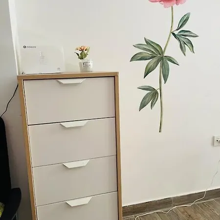A Comfortable To Apartment